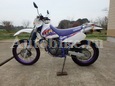     Yamaha TT250-R 1993  10